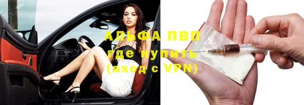 ПСИЛОЦИБИНОВЫЕ ГРИБЫ Верея