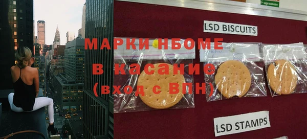 ПСИЛОЦИБИНОВЫЕ ГРИБЫ Верея