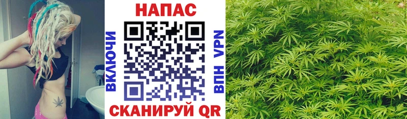 Купить закладки  Мамоново  Каннабис Ganja 